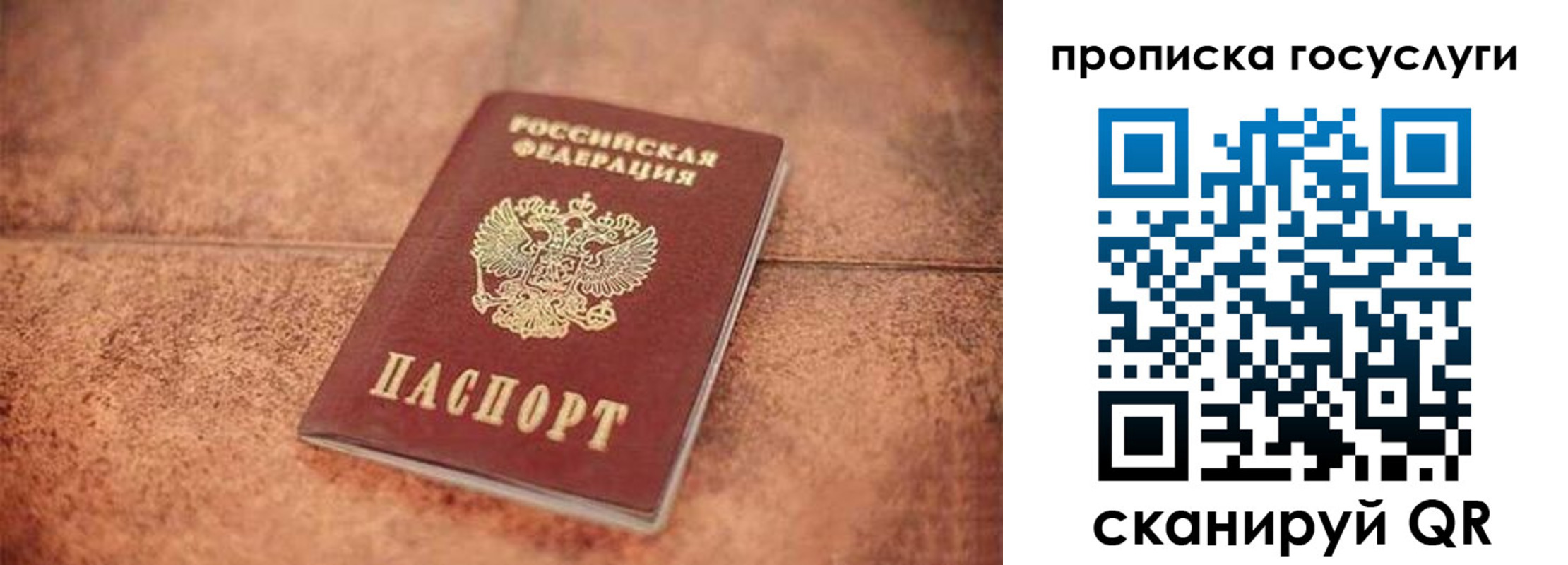 прописка законно в Лисках